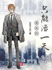 九州官方入口:产品2